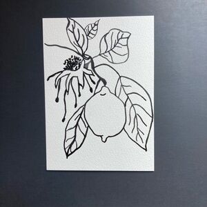 Black and White Botanical Watercolor Painting